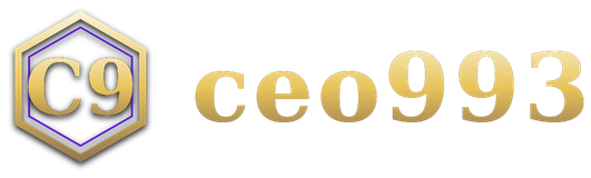 ceo993 logo
